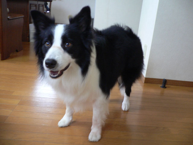 d0059230_167347.jpg