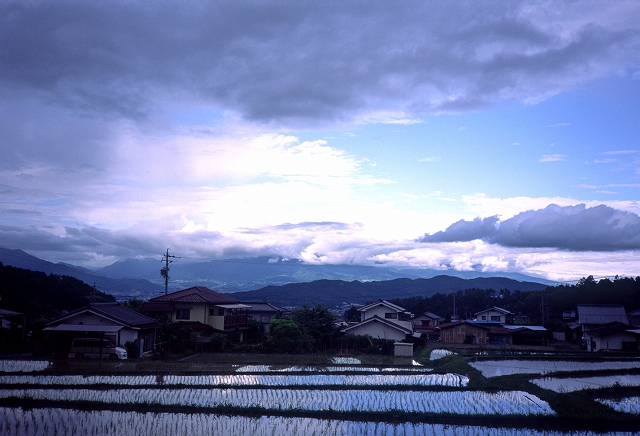 c0046131_9195639.jpg