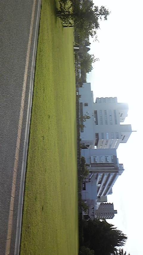 f0161333_8101915.jpg