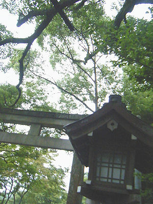 c0069036_0535672.jpg