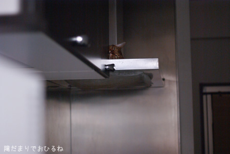 c0132438_22112690.jpg
