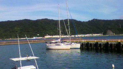 c0041039_738285.jpg