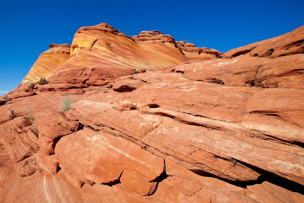 c0157739_1421579.jpg