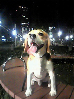 c0119142_22312558.jpg