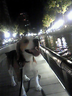 c0119142_22312559.jpg