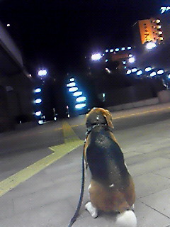 c0119142_2231257.jpg