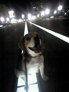 c0119142_22312571.jpg