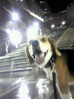 c0119142_22312683.jpg