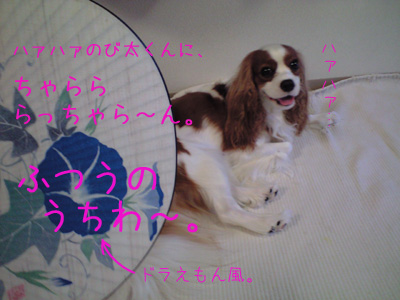 a0120944_11171611.jpg