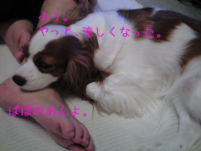 a0120944_11175037.jpg