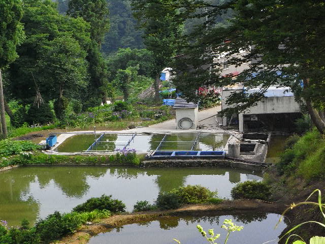 d0082944_335326.jpg
