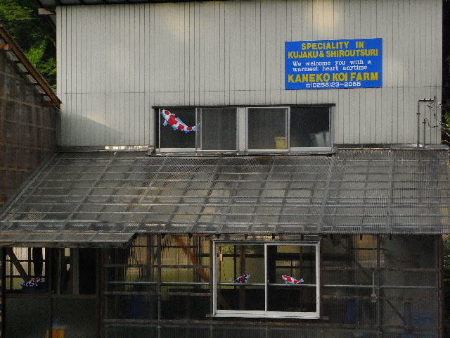 d0082944_3433979.jpg