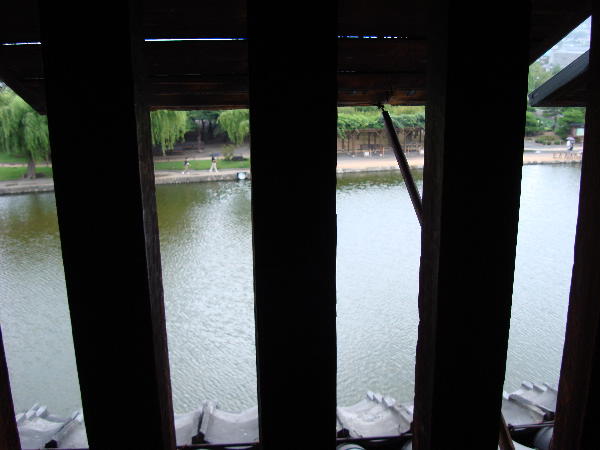 e0111346_74251.jpg