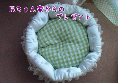 d0139352_2464775.jpg