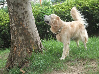 c0097558_215687.jpg