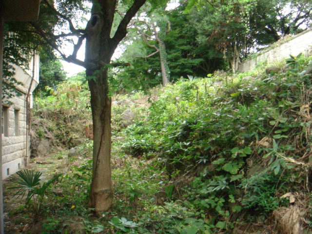 b0124462_179835.jpg