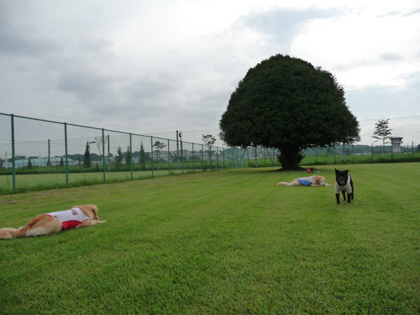 d0150568_1932392.jpg