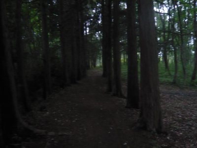 a0040371_1274715.jpg