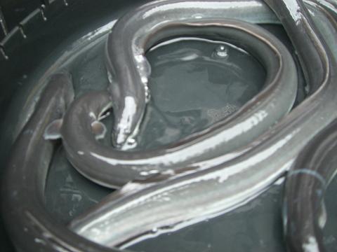 c0098871_16172927.jpg
