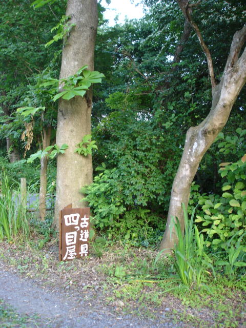e0178175_2231043.jpg