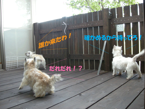 e0066883_0255263.gif