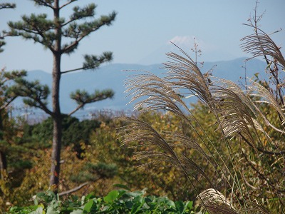 c0105785_1555562.jpg