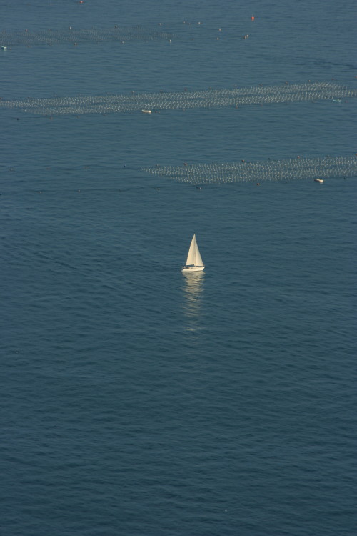 b0118987_5585772.jpg
