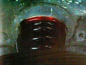 b0035391_16334884.jpg