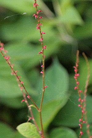 d0133693_22393350.jpg
