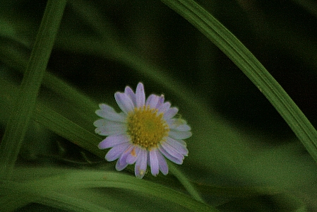 d0133693_22401154.jpg