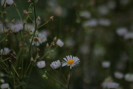 d0133693_22401773.jpg
