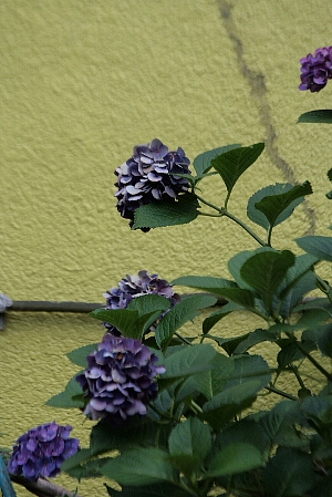 d0133693_22403531.jpg