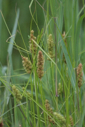 d0133693_2240538.jpg