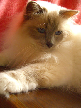 a0045697_17134413.jpg