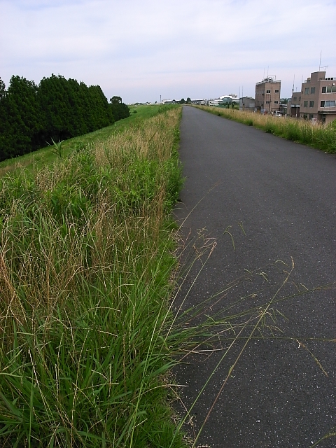 d0081997_2159271.jpg
