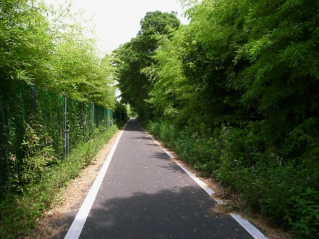 d0081997_221741.jpg