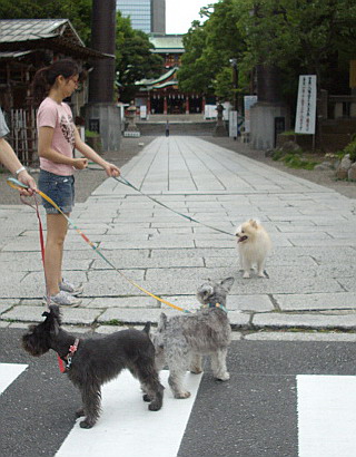c0138198_16493995.jpg