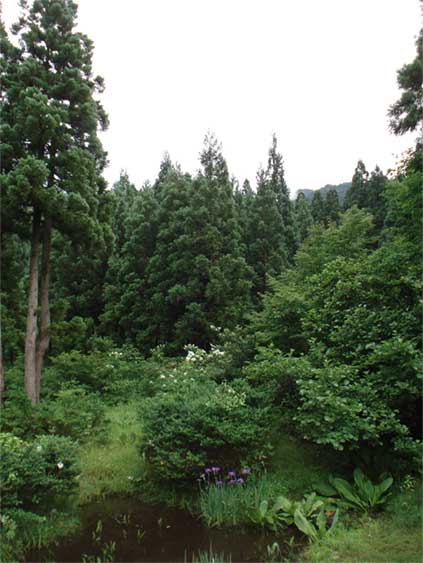 a0061599_556512.jpg