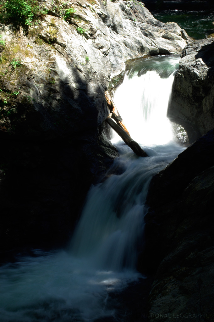 c0080101_12231378.jpg