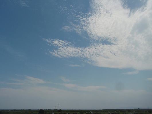 b0055202_20423729.jpg
