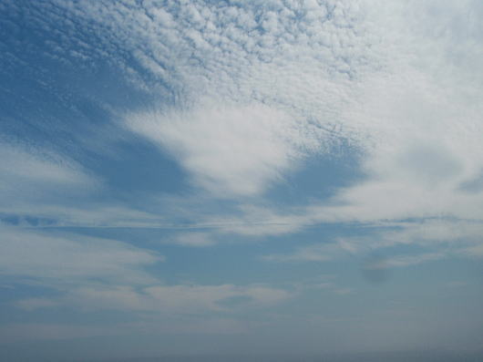 b0055202_205844100.jpg