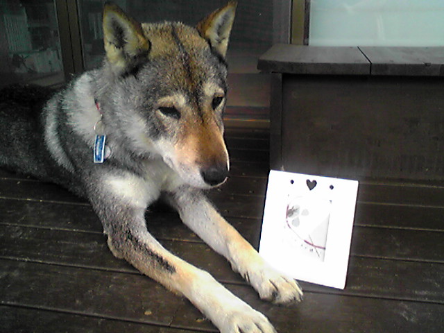 f0079202_224512100.jpg