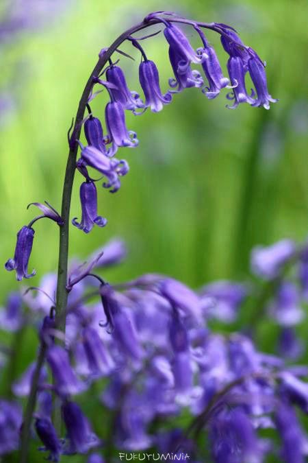 f0185802_033252.jpg