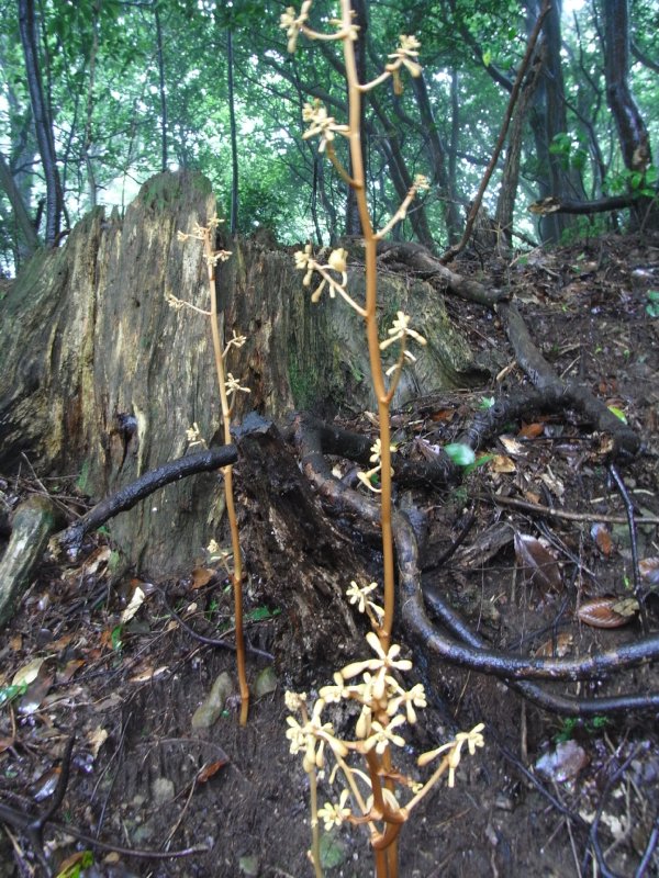 f0187402_21395177.jpg