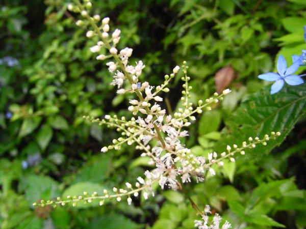 f0187402_2140657.jpg