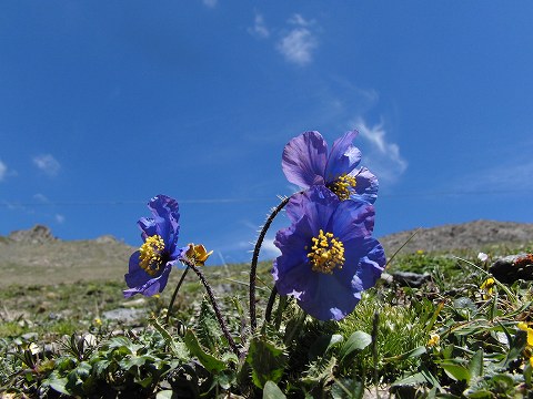 a0117305_22282624.jpg