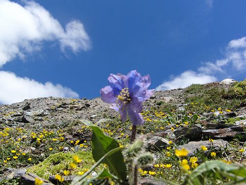 a0117305_22295875.jpg