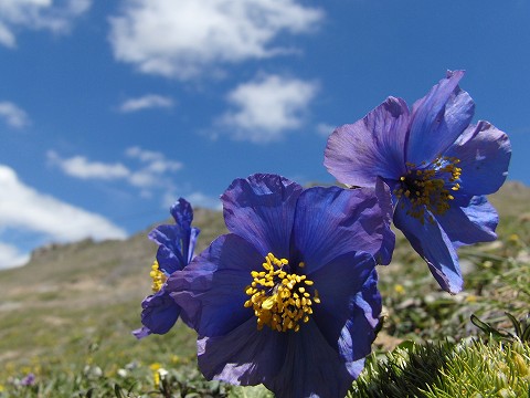 a0117305_2229726.jpg