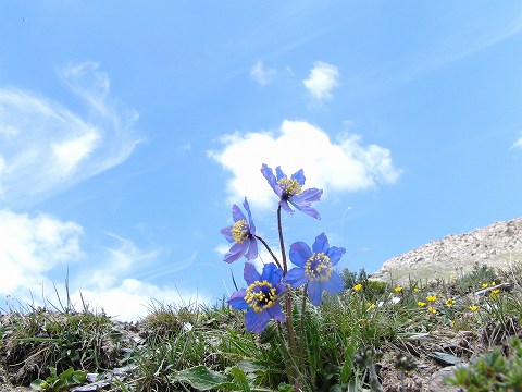 a0117305_22302556.jpg