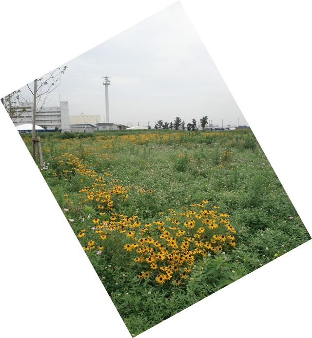 f0084806_13392476.jpg